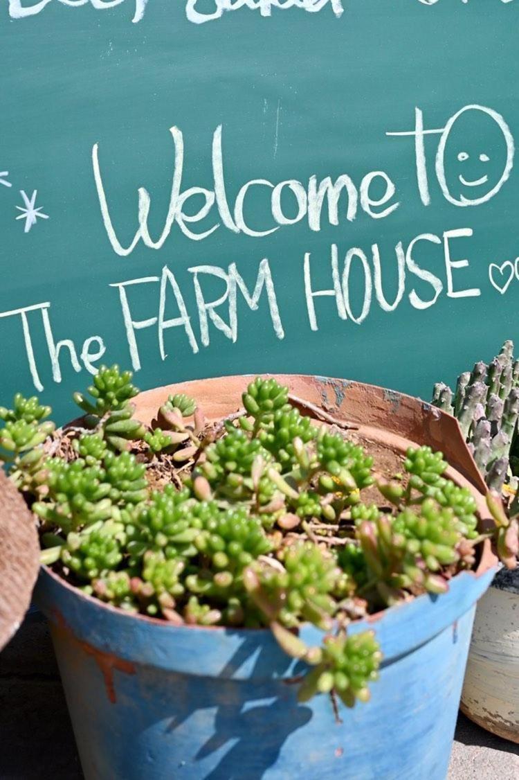 The Farmhouse Boutique Guesthouse And Beergarden Cc Outjo Kültér fotó
