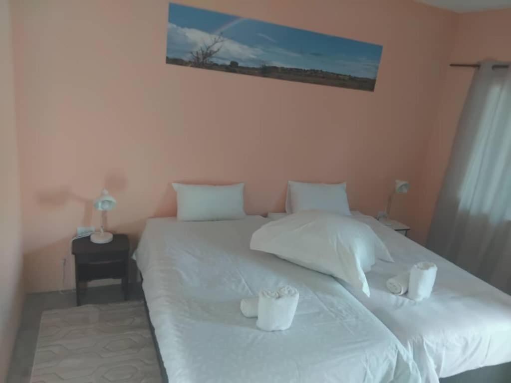 The Farmhouse Boutique Guesthouse And Beergarden Cc Outjo Kültér fotó
